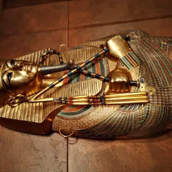 Reiss-Engelhorn-Museums (rem) - Mannheim