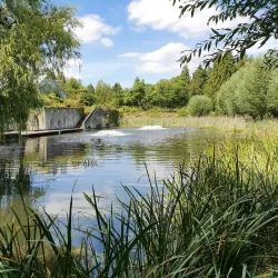 Botanischer Garten der Universität Marburg - Marburg