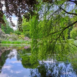 Old Botanical Garden (Alter Botanischer Garten) - Marburg