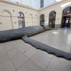 Kunsthalle Memmingen - Memmingen