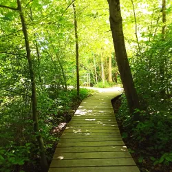 Memmingen City Park (Stadtpark) - Memmingen