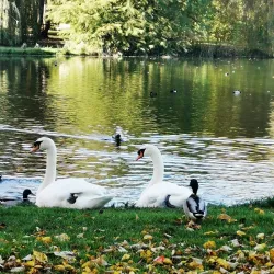 Memmingen City Park (Stadtpark) - Memmingen