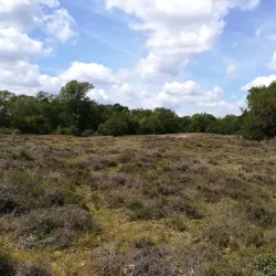 Ems River Promenade - Meppen