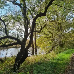 Ems River Promenade - Meppen