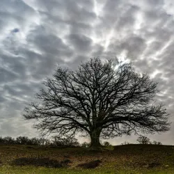 Ems River Promenade - Meppen