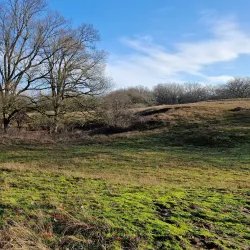 Ems River Promenade - Meppen