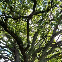 Ems River Promenade - Meppen