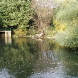 Ems River Promenade - Meppen