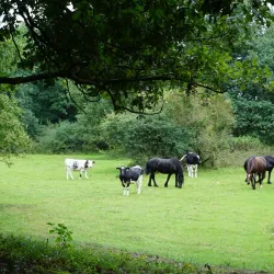 Ems River Promenade - Meppen
