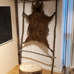 Emslandmuseum Meppen - Meppen