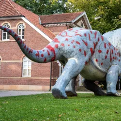 Emslandmuseum Meppen - Meppen