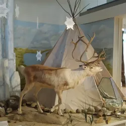 Emslandmuseum Meppen - Meppen