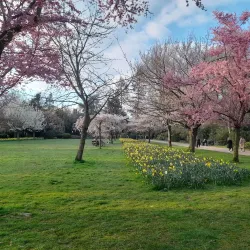 Bunter Garten - Moenchengladbach