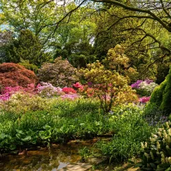 Bunter Garten - Moenchengladbach