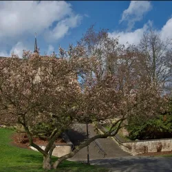 Mönchengladbach Cathedral (Münster St. Vitus) - Moenchengladbach