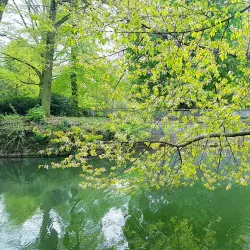 Schloss Rheydt - Moenchengladbach