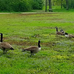 Schloss Rheydt - Moenchengladbach