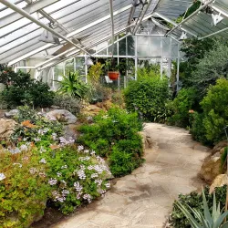 Munster Botanical Garden (Botanischer Garten Munster) - Munster