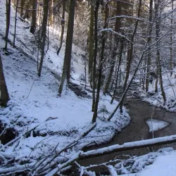 Murr River Walk - Murrhardt