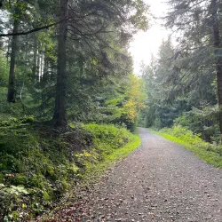 Murr River Walk - Murrhardt