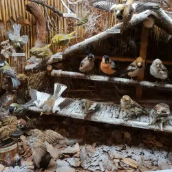 Murrhardt Town Museum (Stadtmuseum Murrhardt) - Murrhardt