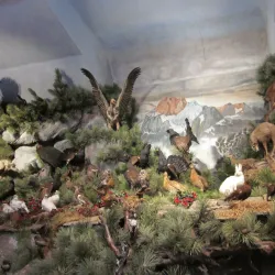 Murrhardt Town Museum (Stadtmuseum Murrhardt) - Murrhardt