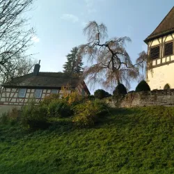 Murrhardter Stadtpark - Murrhardt