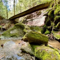 Schwäbisch-Fränkische Waldberge Hiking Trails - Murrhardt