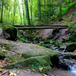 Schwäbisch-Fränkische Waldberge Hiking Trails - Murrhardt
