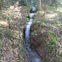 Schwäbisch-Fränkische Waldberge Hiking Trails - Murrhardt