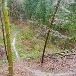 Swabian Forest Nature Park (Naturpark Schwäbisch-Fränkischer Wald) - Murrhardt