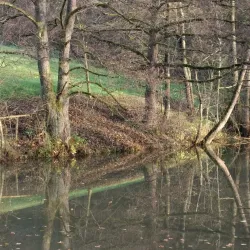 Swabian Forest Nature Park (Naturpark Schwäbisch-Fränkischer Wald) - Murrhardt