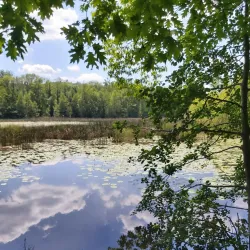 Swabian Forest Nature Park (Naturpark Schwäbisch-Fränkischer Wald) - Murrhardt