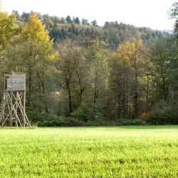 Swabian Forest Nature Park (Naturpark Schwäbisch-Fränkischer Wald) - Murrhardt