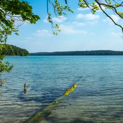 Stechlin Lake (Großer Stechlinsee) - Neuglobsow