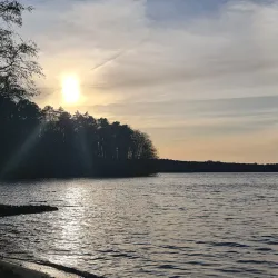 Stechlin Lake Swimming Areas - Neuglobsow