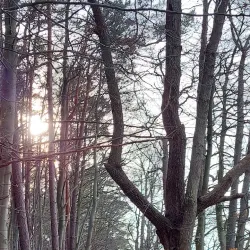 Stechlin Nature Park (Naturpark Stechlin-Ruppiner Land) - Neuglobsow