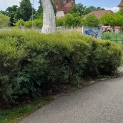 Fontane Therme - Neuruppin