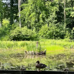 Neuruppin City Park - Neuruppin
