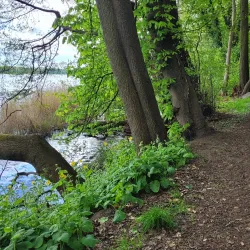 Neuruppin City Park - Neuruppin