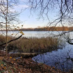 Neuruppin City Park - Neuruppin