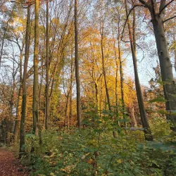 Neuruppin City Park - Neuruppin