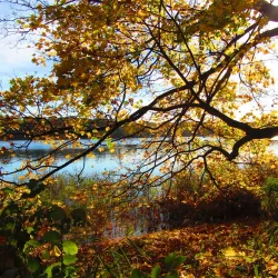 Neuruppin City Park - Neuruppin