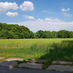 Ruppiner See - Neuruppin