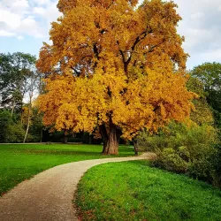 Greiffenhorstpark - Neuss