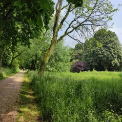 Greiffenhorstpark - Neuss