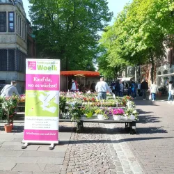 Marktplatz (Market Square) - Nienburg(weser)