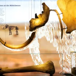 Nienburg Museum (Museum Nienburg) - Nienburg(weser)