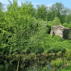 Schloss Nienburg (Nienburg Castle) - Nienburg(weser)