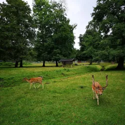 Nordhausen City Park (Stadtpark) - Nordhausen